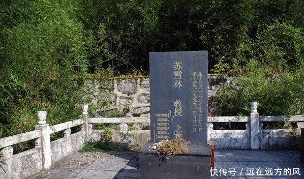 新时代|半生以反鲁迅为事业,结婚几十年与丈夫各自过活:我很内疚