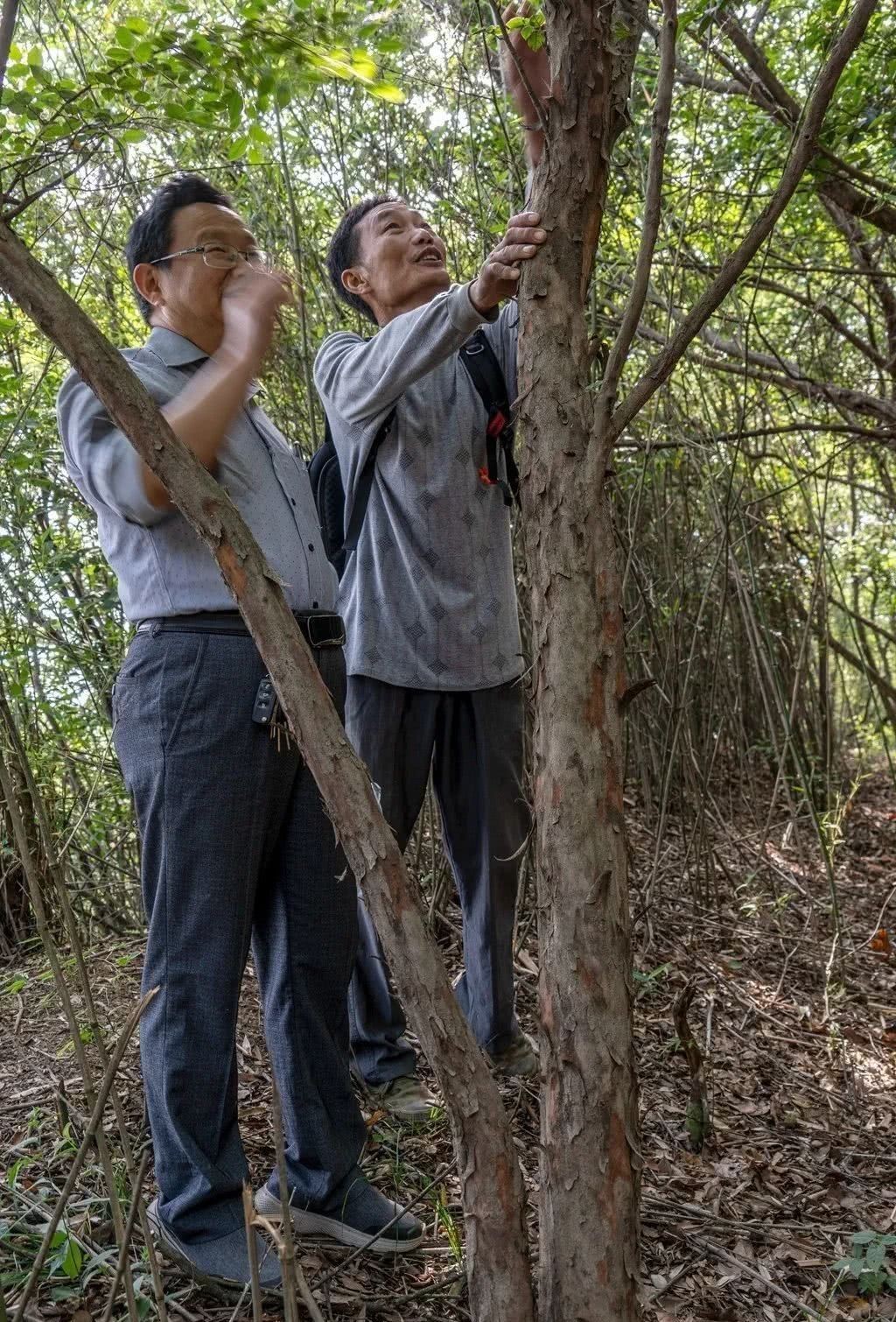 中年|金寨千年古寨，能一览无余的看梅山！