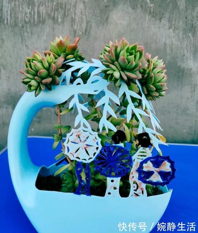 花盆|花盆不用买,变废为宝做一个,比买的还好看,分分钟惊艳朋友圈