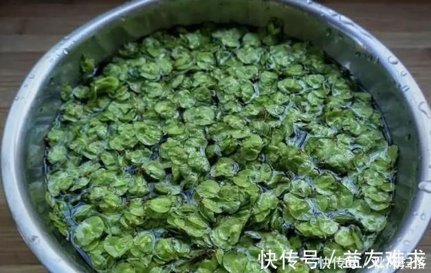 秘方|失眠多梦不用怕!80岁老奶奶的秘方:每天吃一点,一夜无梦好睡眠