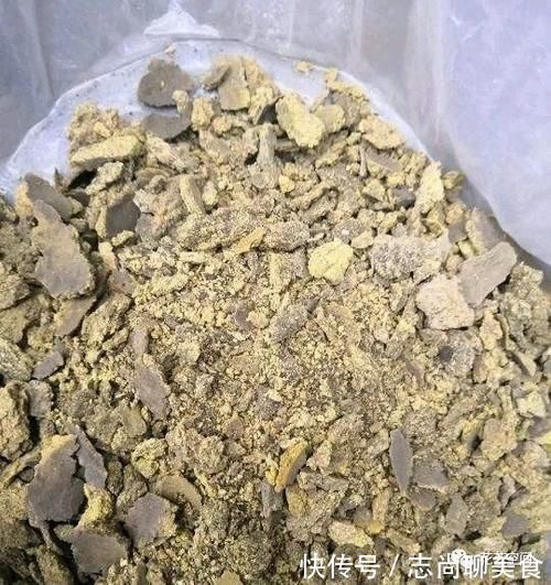 花盆里撒一把“粉末”,防冻杀菌增肥力,根壮叶绿,猛长个!