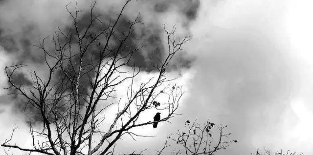 囚犯|古代死囚犯为什么秋后问斩,必须午时三刻背后原因让人毛骨悚然