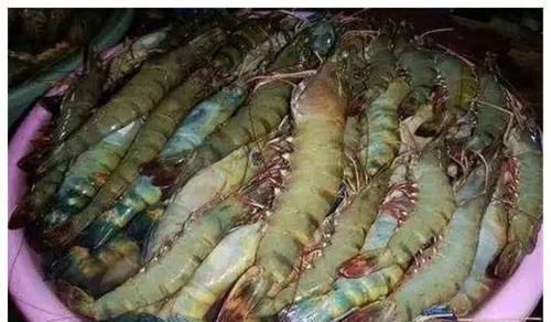 非洲人|非洲人穷得没饭吃中国吃货看下菜市场,他们只是缺厨师