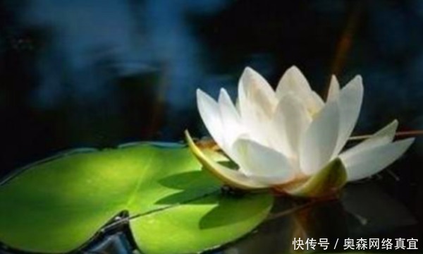  长寿|好人不长寿，祸害遗千年，真是如此吗？老祖宗智慧说透人性