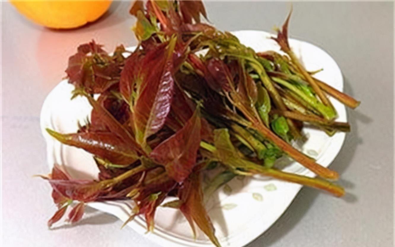  新陈代谢|女性过了40岁常吃3种食物，排毒抗衰，疏通血管，促进新陈代谢