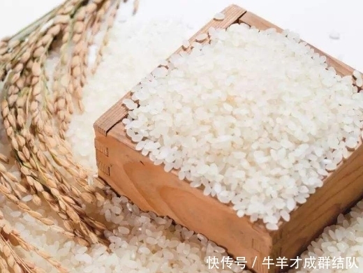 米粒|小妙招:让你的米做出来的饭跟广告上演的一样香。(上)