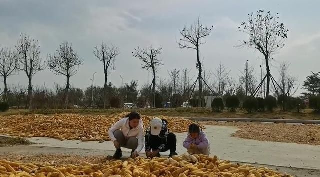 炖鱼|奥运冠军王楠乡下做饭！大铁锅炖鱼接地气，儿女坐地上不嫌脏