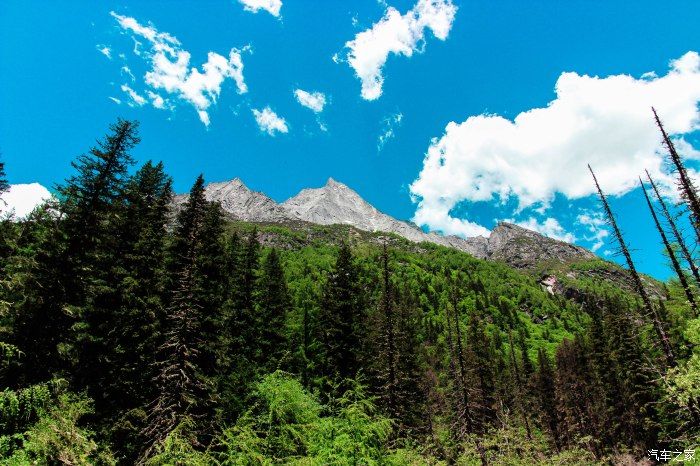 枯树滩|东方圣山，户外天堂——四姑娘山自驾徒步之旅