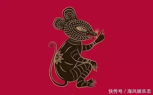 属兔|属鼠阴险，属猴精明……十二生肖智商排行榜，太准了！