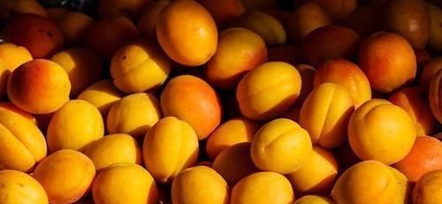 女性步入中年，平時多吃以下食物，滋補身體，養血駐顏