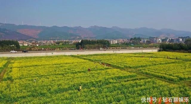 三月|花样荷城,美不胜收!