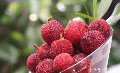 常吃|会吃的人才长寿,常吃几种食物,美白护肤,延缓衰老,营养又美容