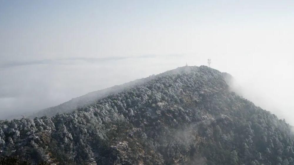 情结|云海与雪景、雾凇齐聚,惊艳了鸡足山的冬天!