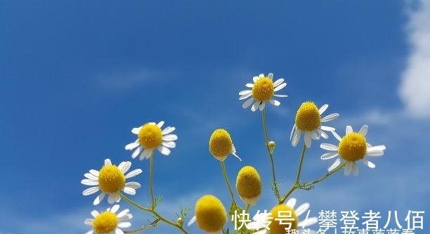 意外之灾|3天内，红线已断，永不离，余情未了，渐入佳境，携手永不散