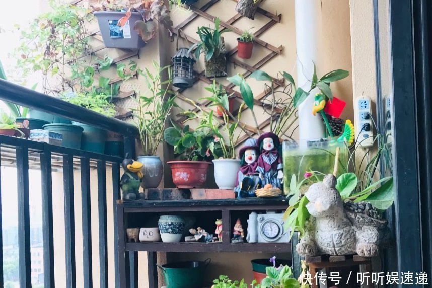 阳台很小，养不了太多花？巧用6个小方法，多养3倍还不止