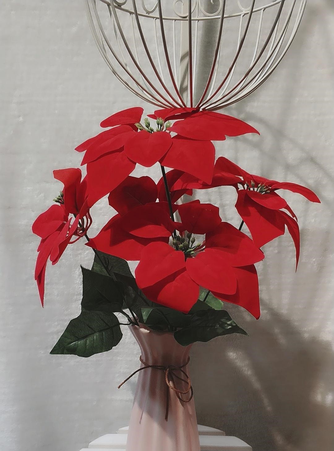 越美的花越有毒,生活诚不欺我!快来认识七种大毒花,避免受伤害