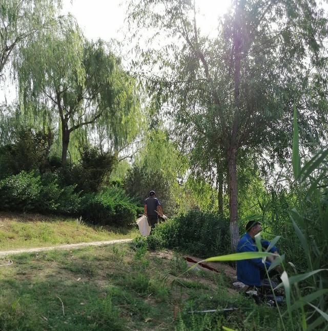 高温天,钓大鱼先克服这些“难题”,不是我吹,渔获瞬间猛增几倍