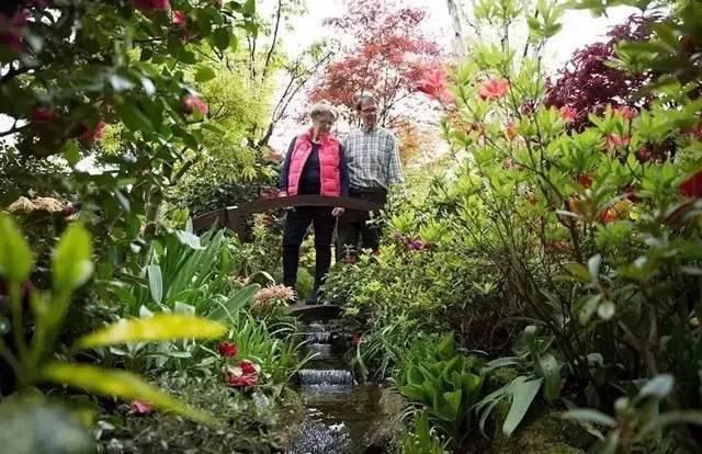  绝美|7旬夫妻用27年建绝美花园，全球花友慕名来“探花”