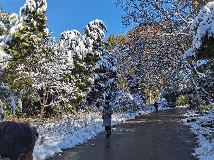 情报站|一剪梅?雪情