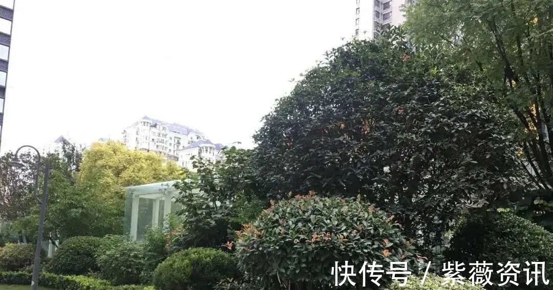 住建部|房产证的重要性，你必须知道！丨买房涨知识