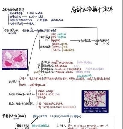 学霸的笔记原来长这样……网友期末了我想借来复习