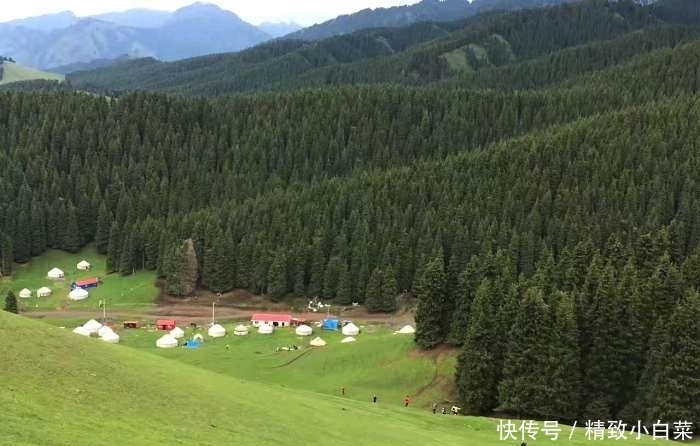 新疆最美的南山风景, 这里的景色让你流连忘返!