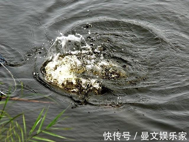 技巧|钓到大鱼不要慌，这些溜鱼技巧来助你，让大鱼乖乖上岸