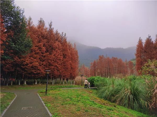 骑自行车|【穷游贵阳】十里河滩：让美景和闲适撞个满怀