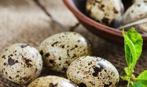 胆固醇|鹌鹑蛋营养比鸡蛋的还高,每天吃几个,身体或能尝到3个“甜头”