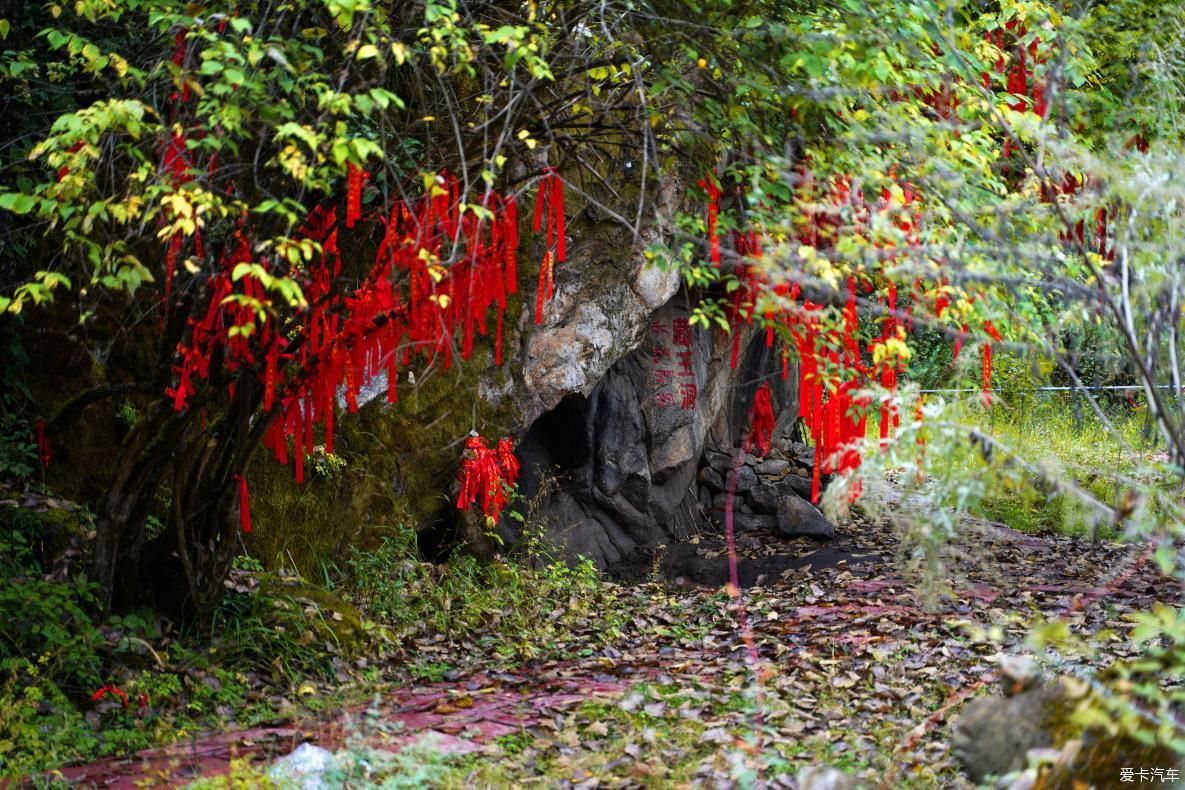 独自自驾游 欣赏最美的岗云杉林 体验环藏之旅的慢生活