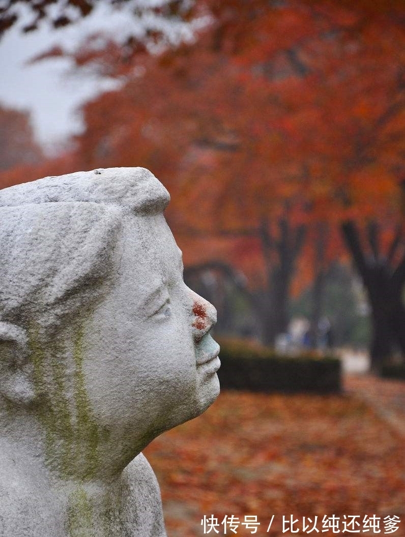 siddh孩子身上长出鳞片,父母带其到医院检查后被医生大骂!