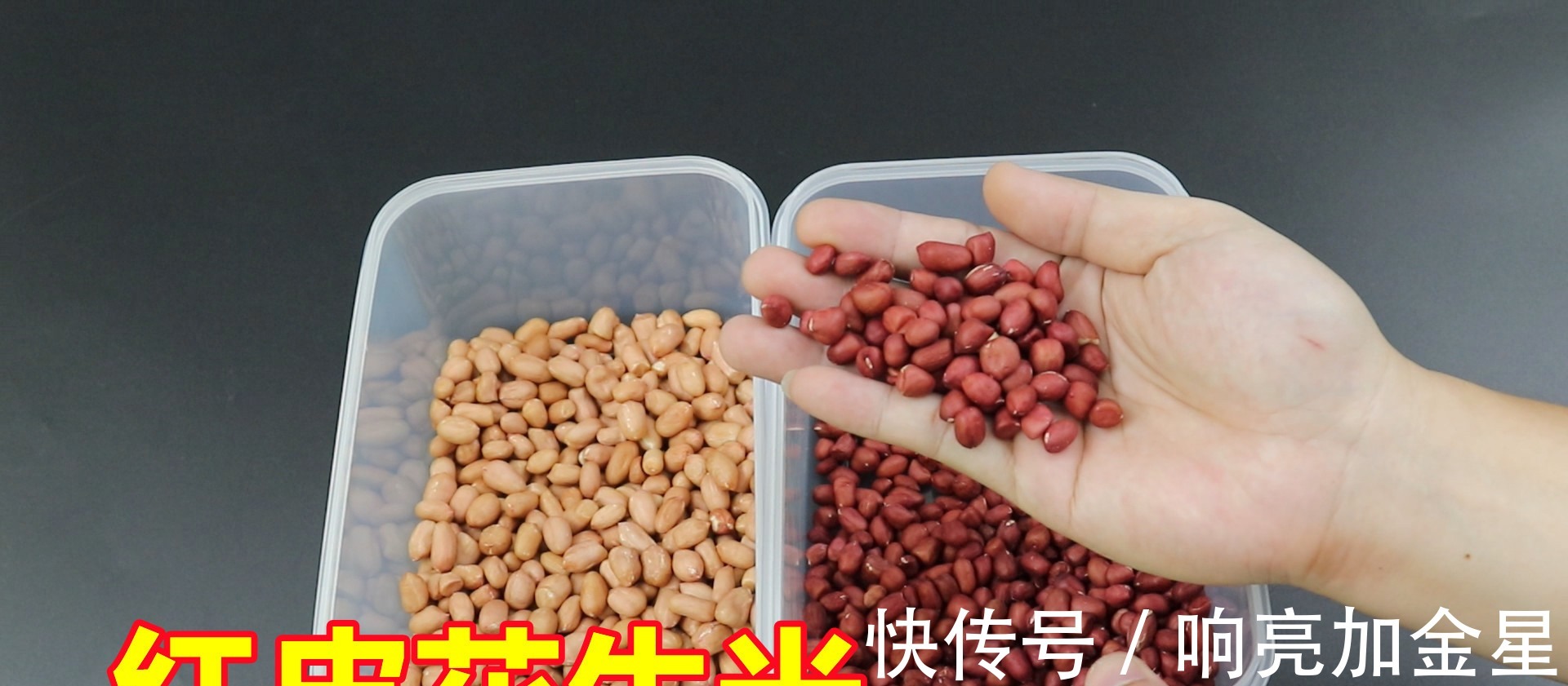 小白点|红皮花生米和白皮花生米,哪一个更有营养好多人不懂,长见识了!