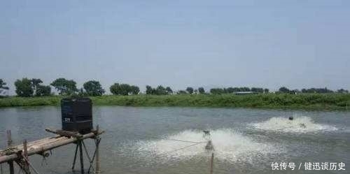 夏钓时,我只在这“钓点”下竿,不吹不黑,钓到天黑也不想走!