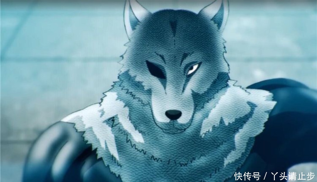 为水龙|《一拳超人》水龙为击败饿狼而参加武道会,他实力究竟如何