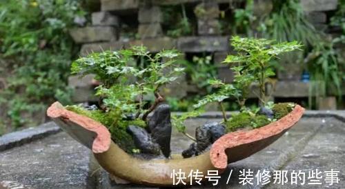 个性|破壶烂瓦做盆，每一个都破出了个性