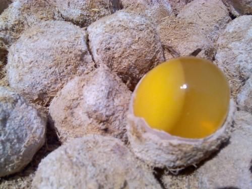 做变蛋的配方是多少？