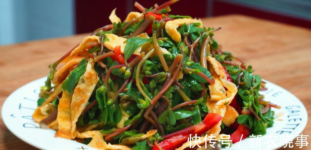 长命菜|遇到此菜我从不还价,碰运气才能买到,简单一做,就是一道特色菜