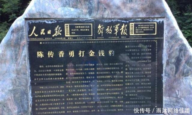  当代|当代“女武松”陈传香，赤手空拳打死金钱豹，后来结局如何？