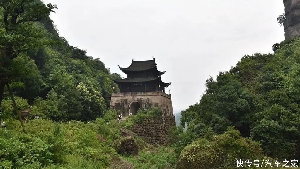 路上可以遇见大熊猫!自驾游这条冷门线路别错过