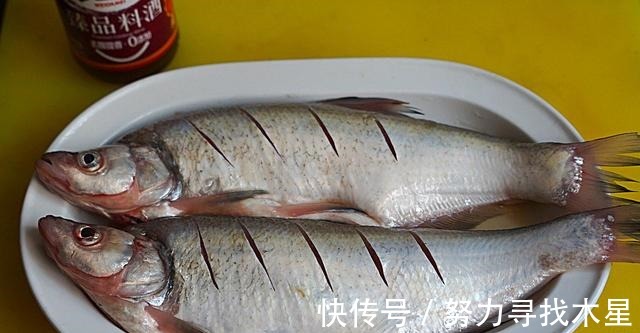 冬至之后，吃鱼不如食此鱼，味美肉鲜嫩，每次炖一盘都不够吃！