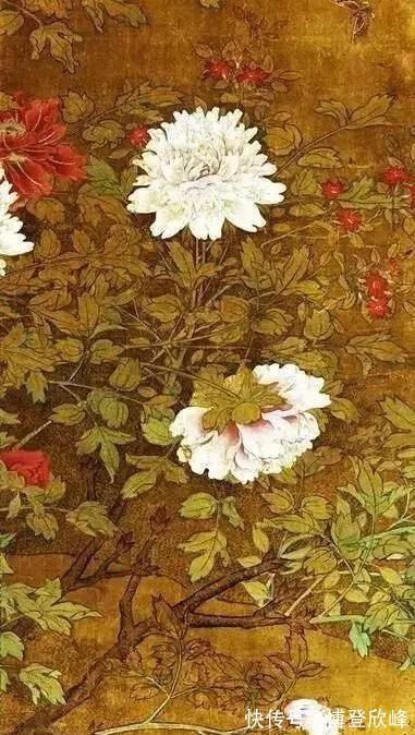 爱莲说|牡丹为什么被奉为“国花”，它有哪些与众不同的优势