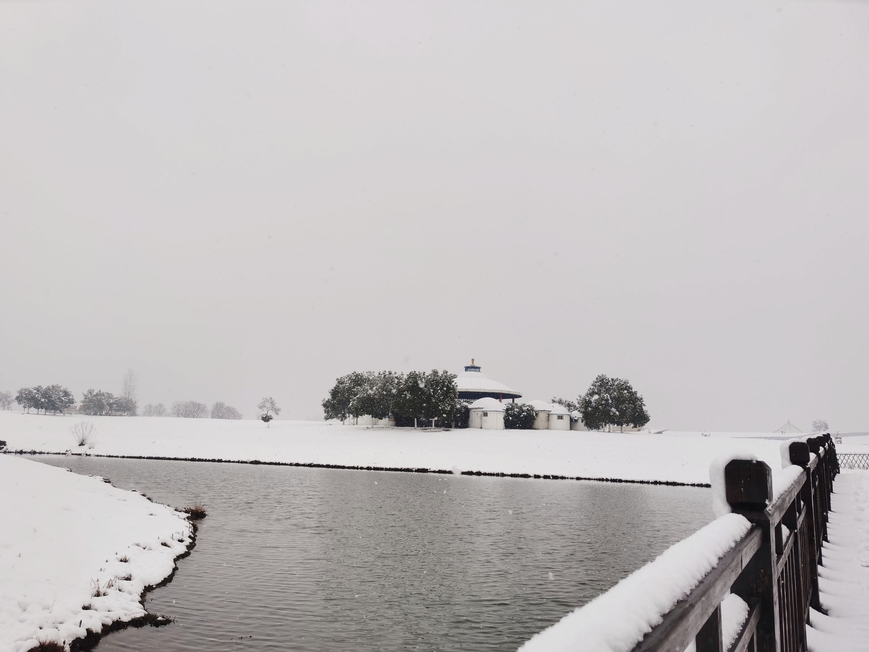 虎年|登高、赏花、打雪仗……来解锁虎年的N种“赏雪姿势”