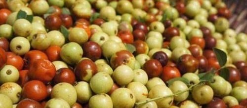 维e|老得慢的女人，都在“偷偷吃”的6种食物，润肤养颜，子宫更健康