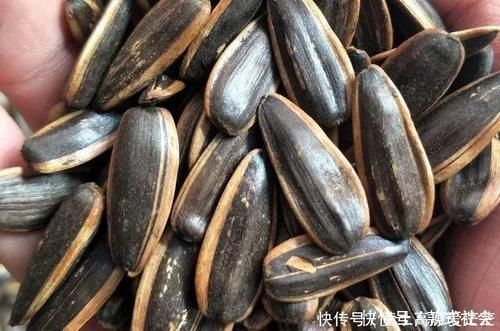 肾脏|它们公认是男人的“肾黄金”，工资再少也要经常吃，肾脏或会越来越健康