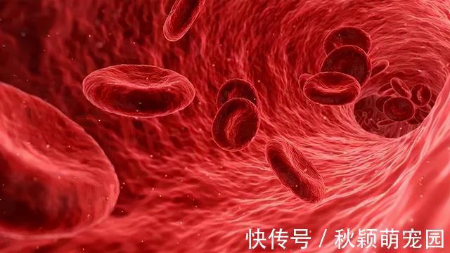 长寿有8个“金标准”！身体健不健康，一看就知道！你达标了吗？