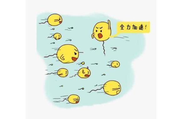 生育能力|男人到了多少岁会绝精这些事情没有忍住,绝精期可能会提前!