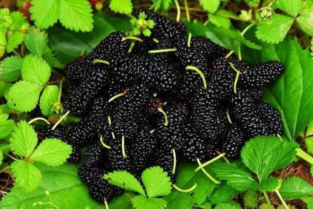 衰老|女性开始衰老,多有3个表现,少吃3物,多做3事,延缓衰老显年轻