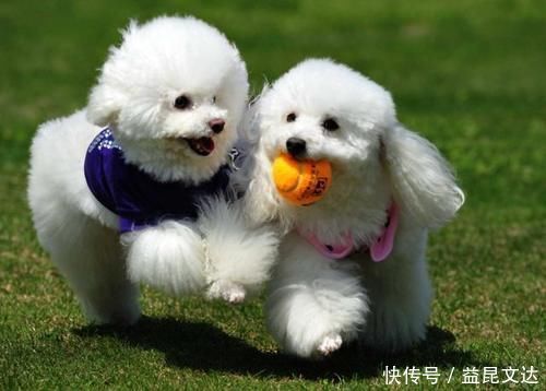 孩子|爸爸给女儿梳头发现“小米粒”,送去就医后,检查结果让他后怕