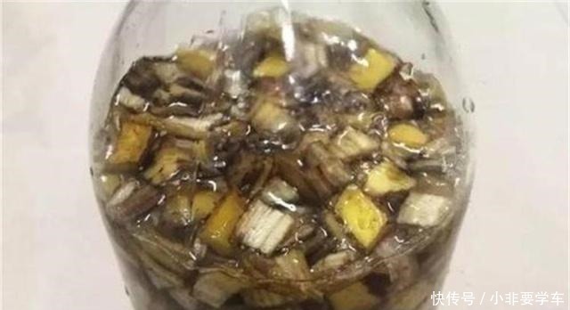 没想到!“香蕉皮”竟然有如此作用,养的君子兰,大棵又养眼!