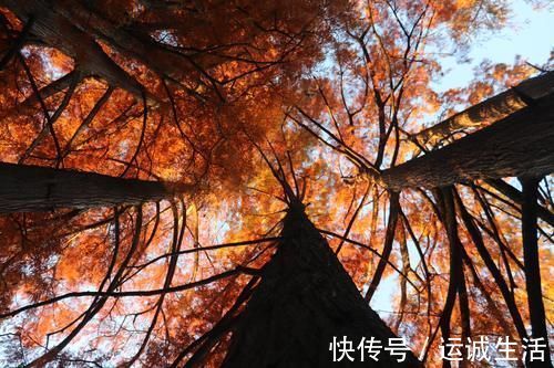 李太白|诗鬼李贺的代表作《苦昼短》,不愧和李白并列,值得一读再读